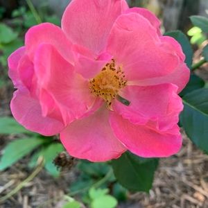 Meet your Posher, May